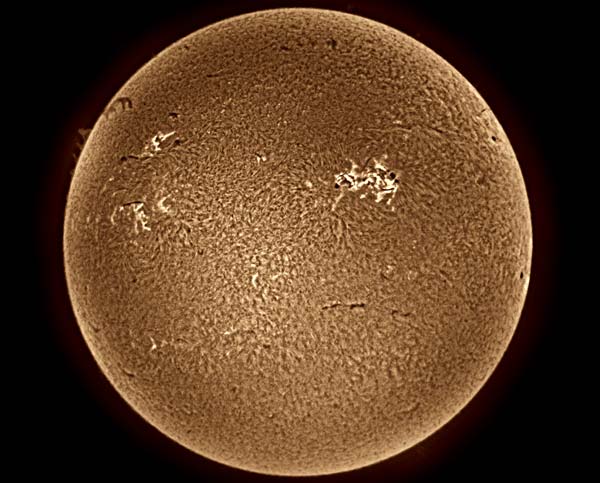 Brown Sun Bubbling