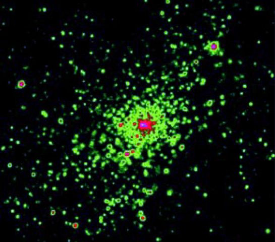 NGC 3603: X-Rays From A Starburst Cluster