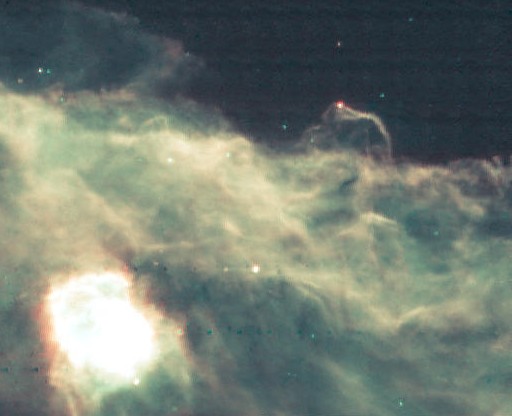 Infrared Horsehead