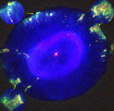 Fliers Around the Blue Snowball Nebula
Credit: