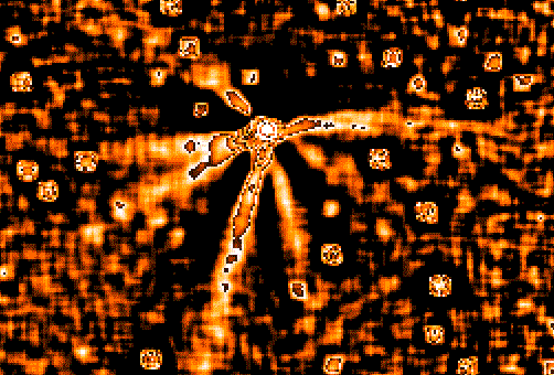 Seven Jets from Comet Hale-Bopp
Credit: