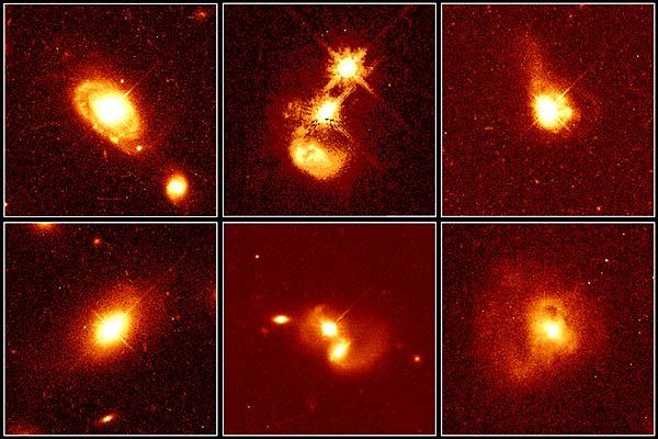 A Quasar Portrait Gallery