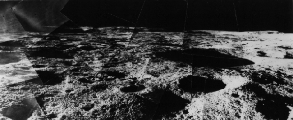 Surveyor Hops