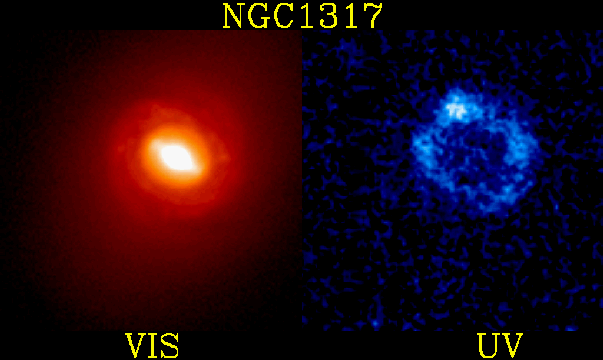 Starburst Ring in Galaxy NGC 1317
Credit: