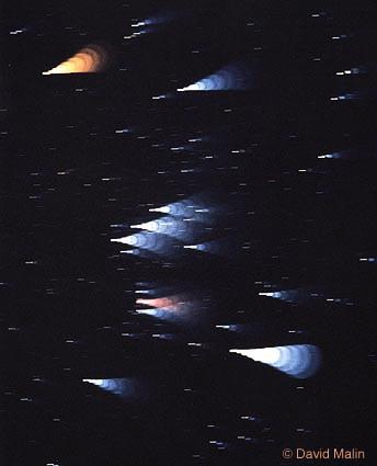 Orion's Star Colors
Credit and Copyright: