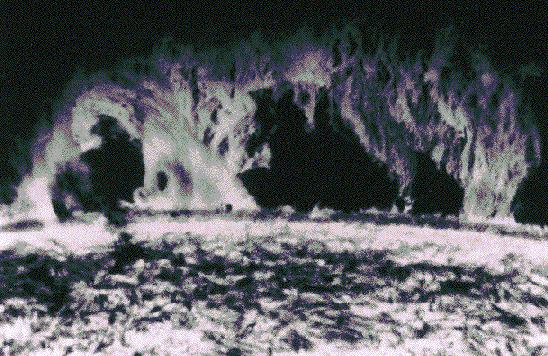 A Prominent Solar Prominence