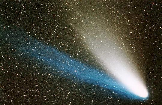 Springtime Comet Fever
Credit: