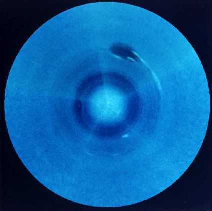 Southern Neptune
