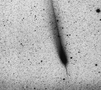 Hale-Bopp: A Continuing Tail