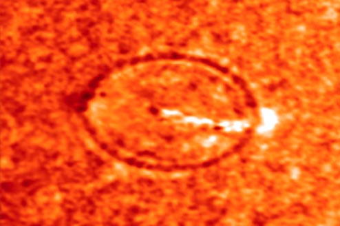 Solar Flares Cause Sun Quakes