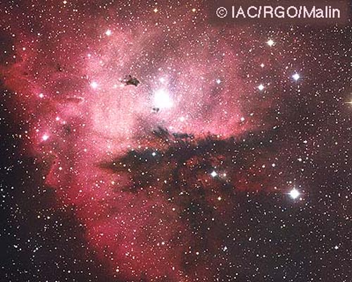 NGC 281: Cluster, Clouds, and Globules