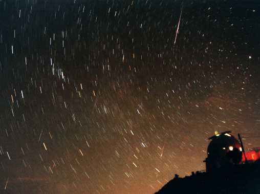 Seven Leonids Over Wise Observatory