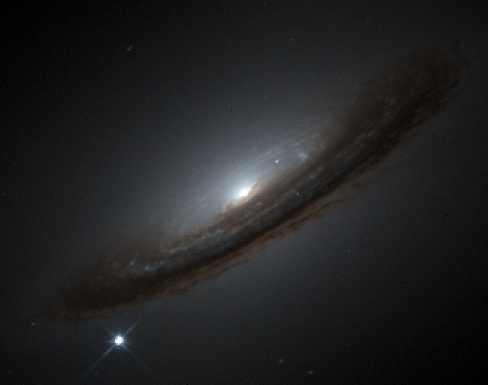 Supernova 1994D and the Unexpected Universe