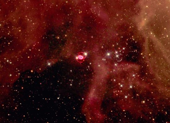 A Supernova Star-Field