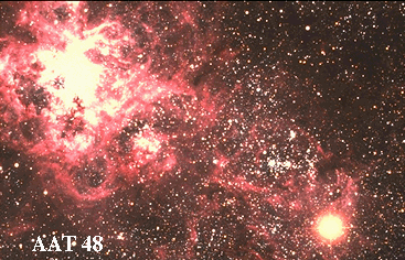 The Tarantula and the Supernova